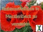 foto anzeige