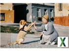 foto anzeige