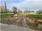 foto anzeige