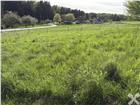 foto anzeige