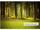 foto anzeige