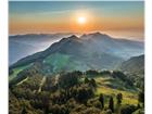 foto anzeige