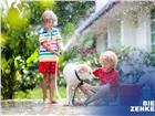 foto anzeige