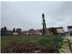 foto anzeige