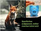 foto anzeige