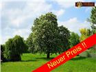 foto anzeige