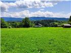 foto anzeige