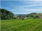 foto anzeige
