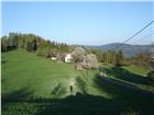foto anzeige