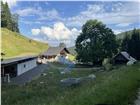 foto anzeige