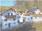 foto anzeige