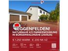 foto anzeige