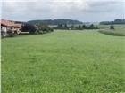 foto anzeige