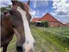 foto anzeige