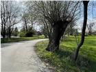 foto anzeige