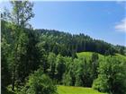 foto anzeige