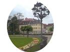 foto anzeige