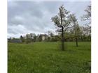 foto anzeige