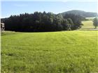 foto anzeige