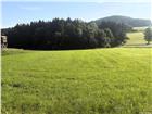 foto anzeige