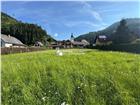 foto anzeige
