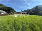 foto anzeige