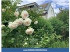 foto anzeige