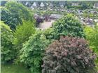 foto anzeige
