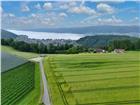 foto anzeige
