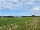 foto anzeige