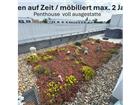 foto anzeige