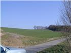 foto anzeige