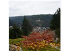 foto anzeige