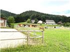 foto anzeige
