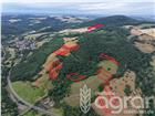 foto anzeige