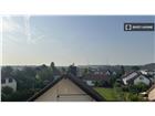 foto anzeige