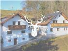 foto anzeige