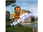 foto anzeige