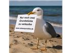 foto anzeige