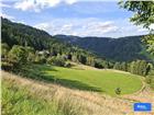foto anzeige