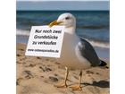 foto anzeige