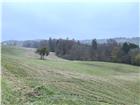 foto anzeige