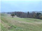 foto anzeige