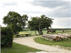 foto anzeige