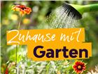 foto anzeige