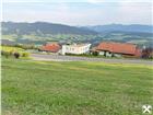 foto anzeige