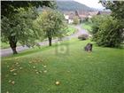foto anzeige