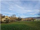 foto anzeige