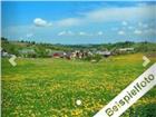 foto anzeige