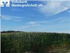 foto anzeige